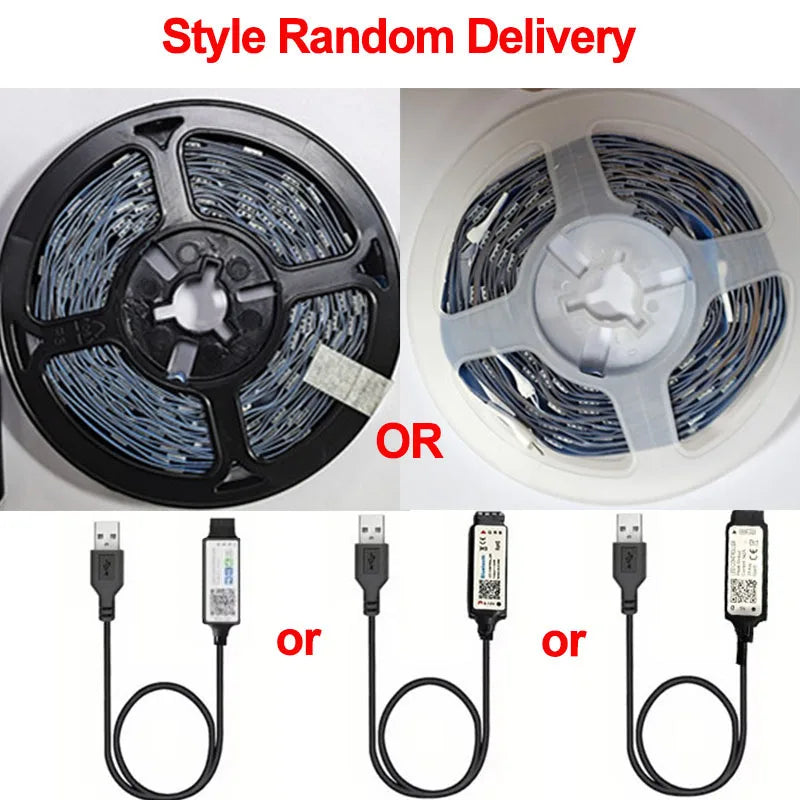 RGB LED Strip Lights Smart Bluetooth 24Key Remote Flexible Diode Lamp Tape SMD 5050 30LEDs/M For Room Home Decor TV Backlight